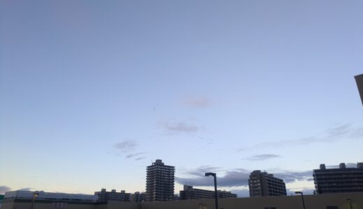 言葉で認識すること以上に繊細な世界