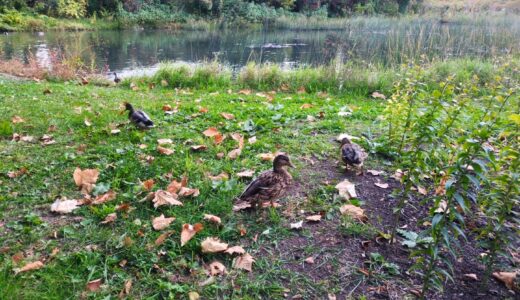 自分のリソースをどこに注ぐのか