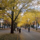 もしも旅行者だったら