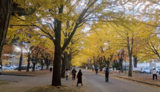 もしも旅行者だったら