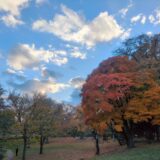 された、じゃなくて。