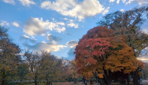 された、じゃなくて。
