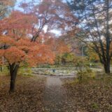 配線の問題(人間のこと)