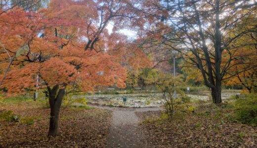 配線の問題(人間のこと)